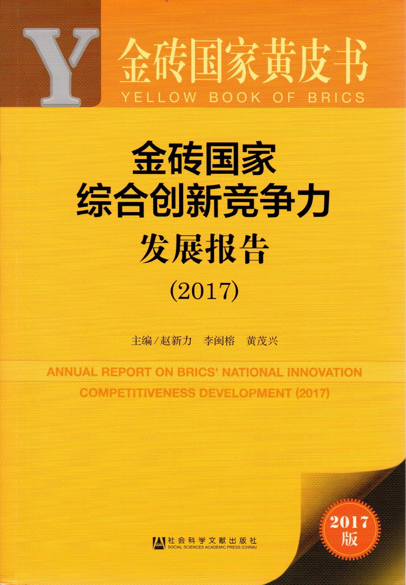 美女被后入内射嗷嗷叫金砖国家综合创新竞争力发展报告（2017）